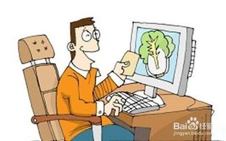 食品流通中的主體及其在互聯網銷售中的角色